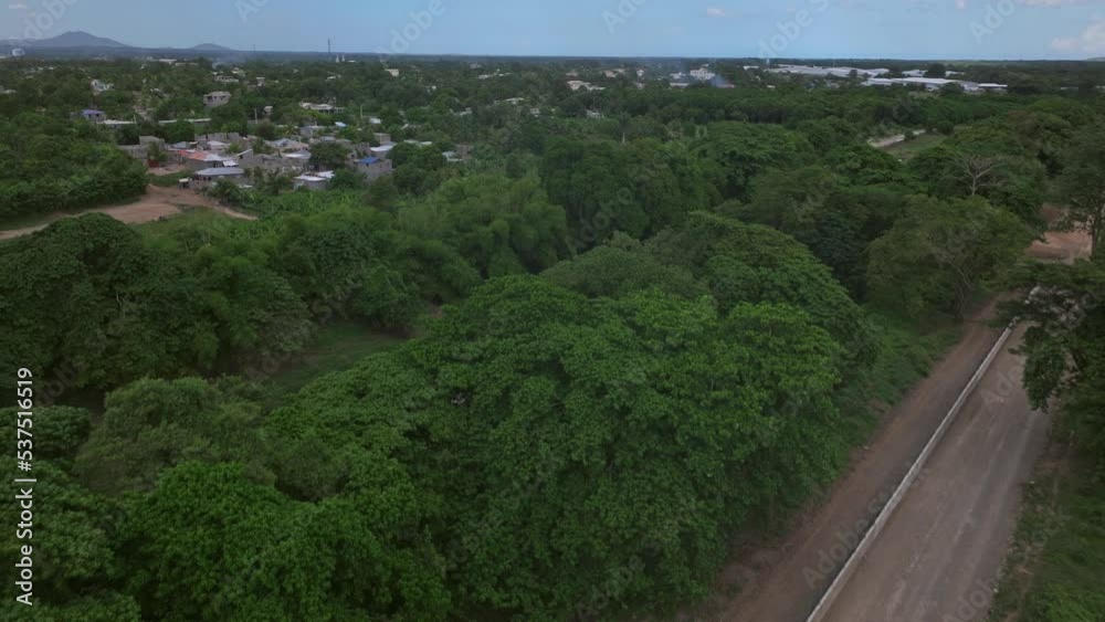 Aerial birds eye shot over forest trees and river divide Haiti and Dominican Republic during sunny day Aerial birds eye shot over forest trees and river divide Haiti and Dominican Republic during sunny day