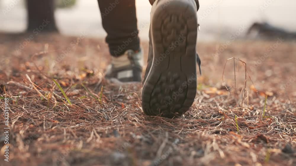 Vidéo Stock Hiking in the forest. Tourist shoes in the forest park ...