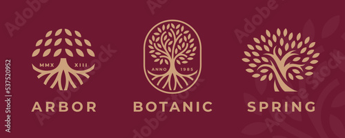 Abstract Tree of life logo icons set. Botanic nature symbols. Tree branch with leaves signs. Natural plant design elements emblems. Vector illustration.