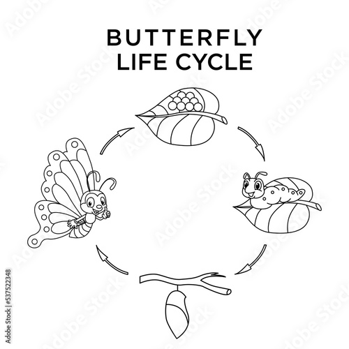 Cute butterfly life cycle cartoon characters vector illustration. For kids coloring book.