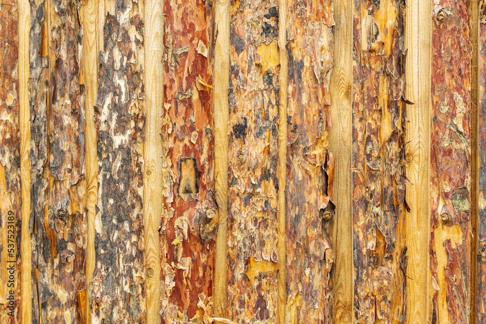 Rustic wooden planks texture background for design. Wood planks texture background.