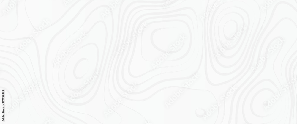 The stylized height of the topographic map contour in lines and contours. topography relief, Topographic map. Vector illustration of topographic panoramic map lines and contours, Geography scheme. The stylized height of the topographic map contour in lines and contours. topography relief, Topographic map. Vector illustration of topographic panoramic map lines and contours, Geography scheme.