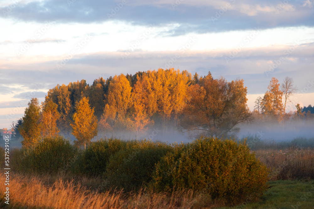 Colorful autumn landscape with trees and fog on field during sunrise Colorful autumn landscape with trees and fog on field during sunrise