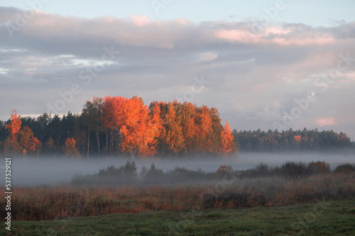 Colorful autumn landscape with trees and fog on field during sunrise