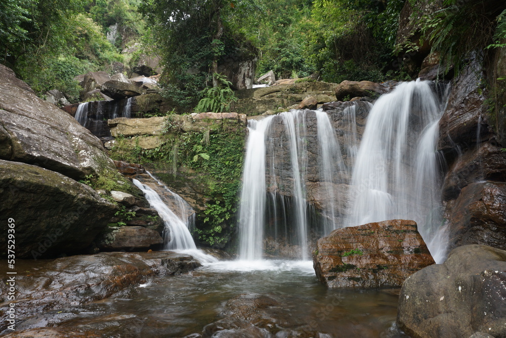Fototapeta premium waterfall in the forest long exposure