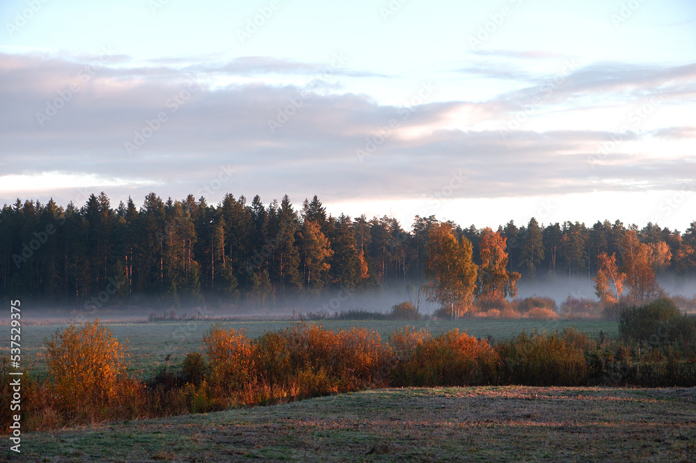 Colorful autumn landscape with trees and fog on field  during sunrise