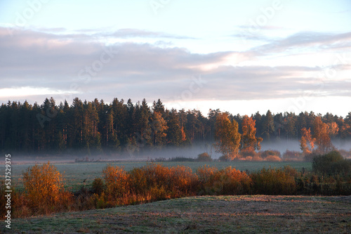 Colorful autumn landscape with trees and fog on field during sunrise
