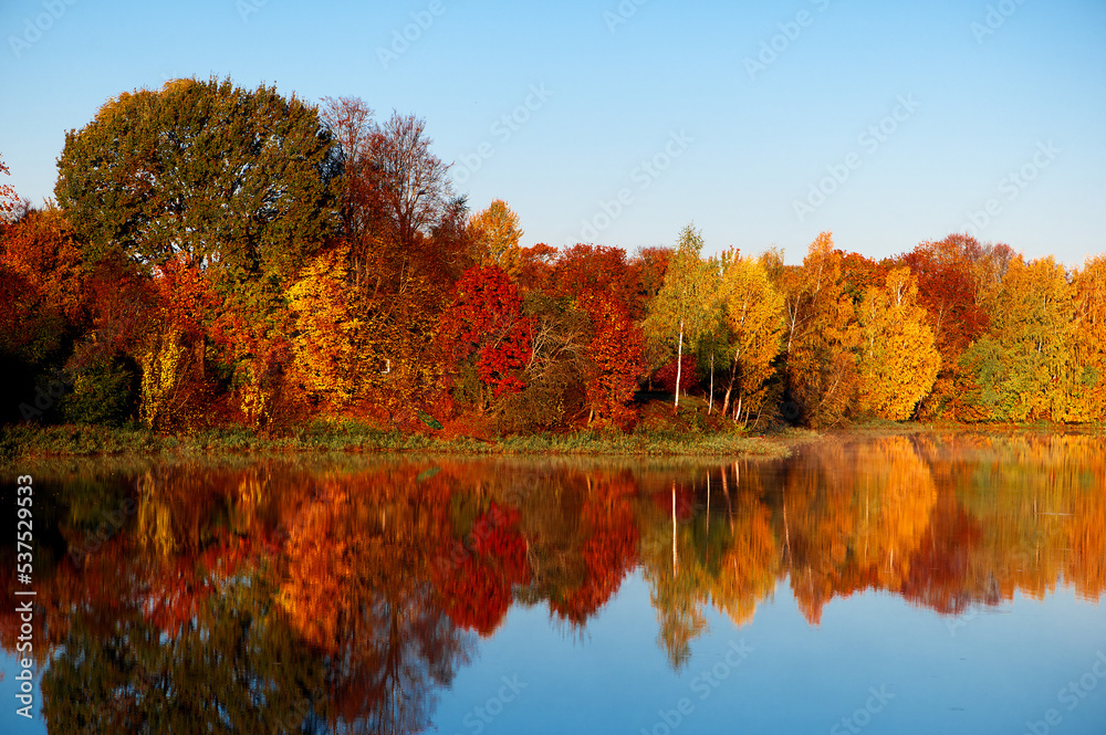 Trees in brilliant autumn color reflecting in a small lake in Latvia