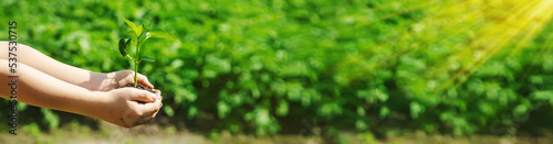 A child with seedlings in his hands in the garden. Selective focus.