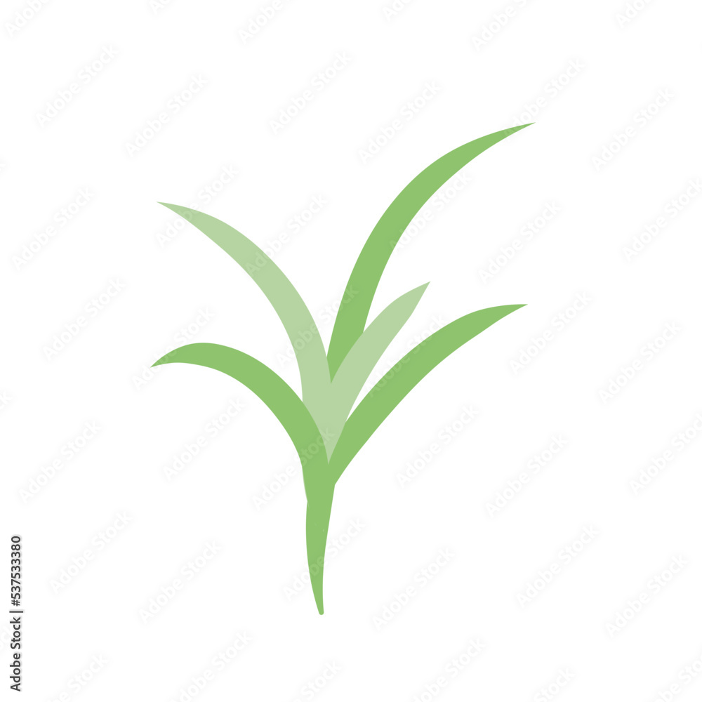 Obraz premium Nerdle Grass plant 