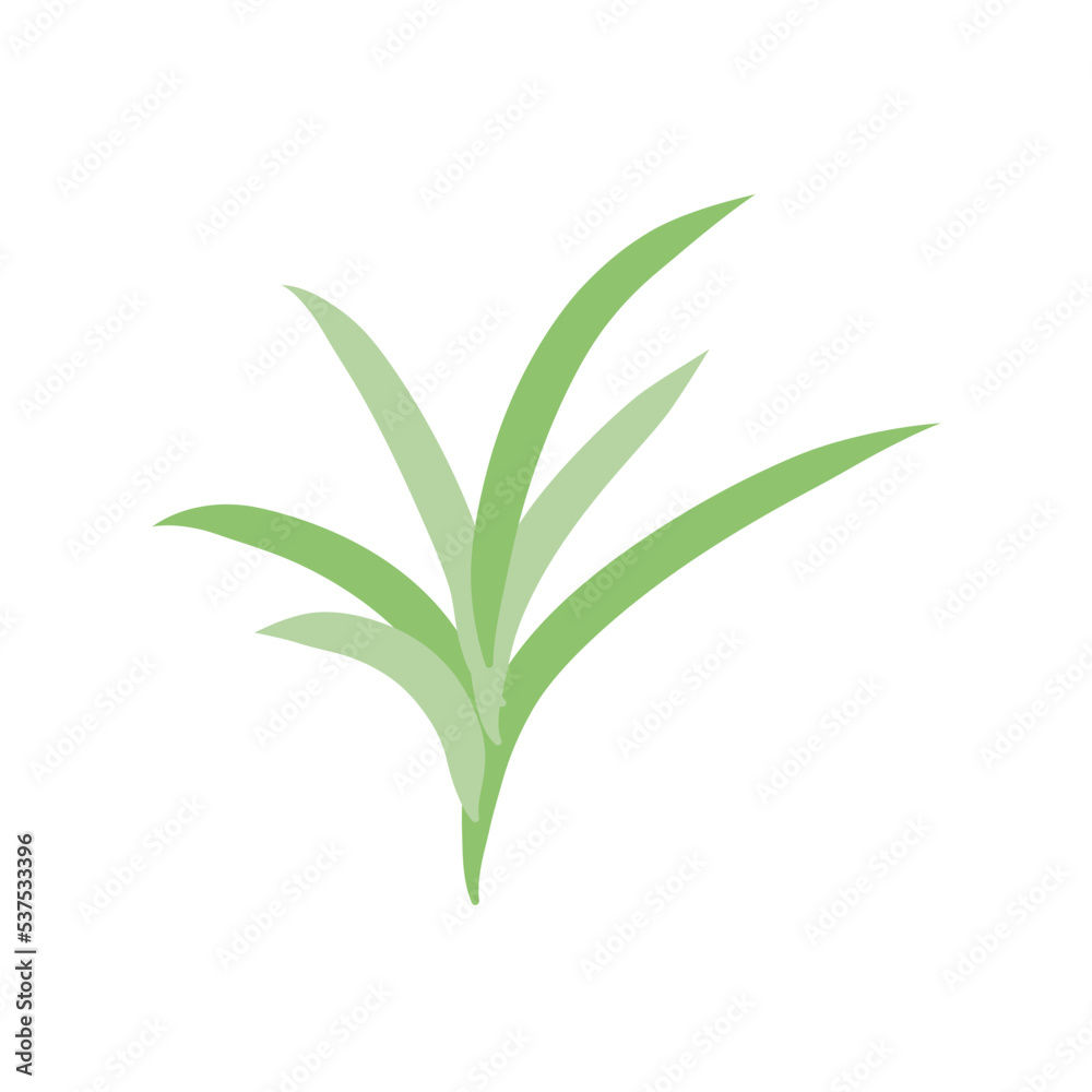 Fototapeta premium Nerdle Grass plant 
