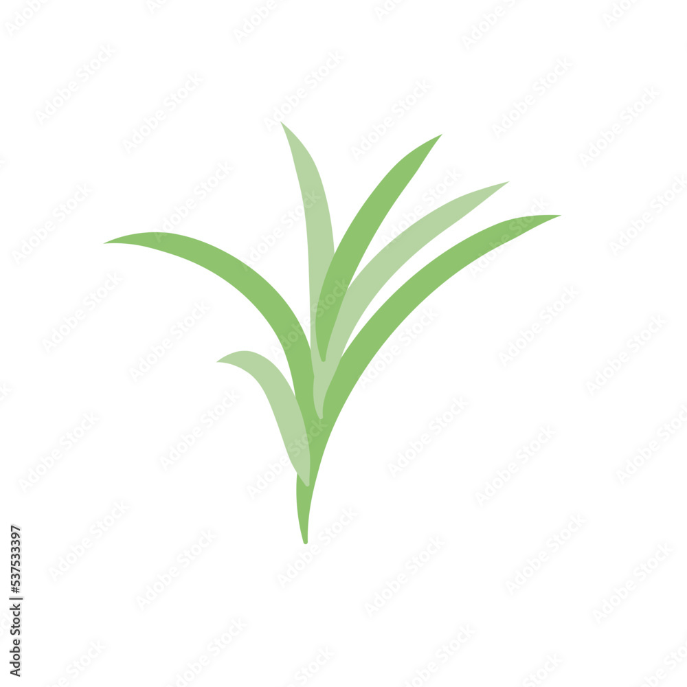 Fototapeta premium Nerdle Grass plant 