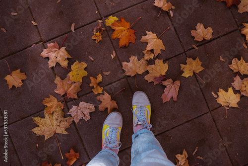 orange leaves on the pavement on an autumn walk