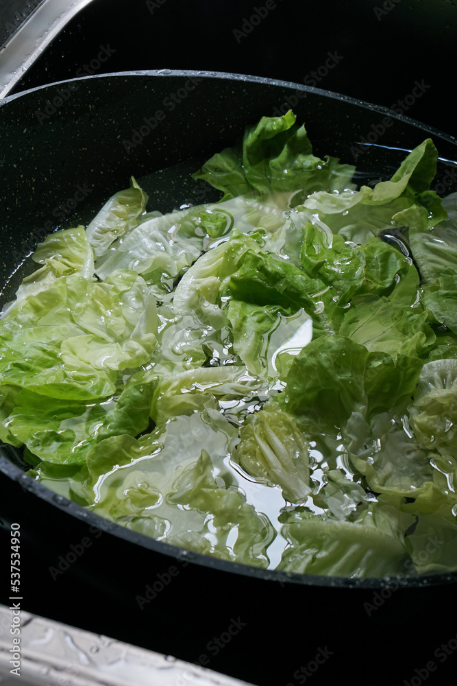 green vegetables are being soaked in clean water. remove dirt and poisons. preparations before cooking. green vegetables are being soaked in clean water. remove dirt and poisons. preparations before cooking.