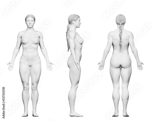 3d rendered medical illustration of a female bodybuilder body