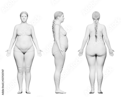 3d rendered medical illustration of a pear shaped female body
