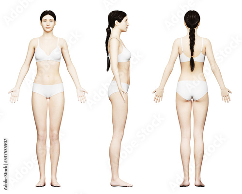 3d rendered medical illustration of a tall female body