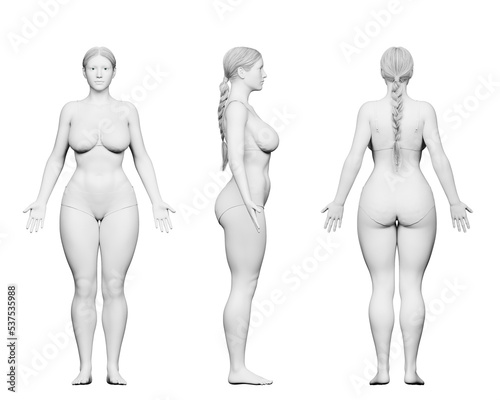 3d rendered medical illustration of a curvy female body
