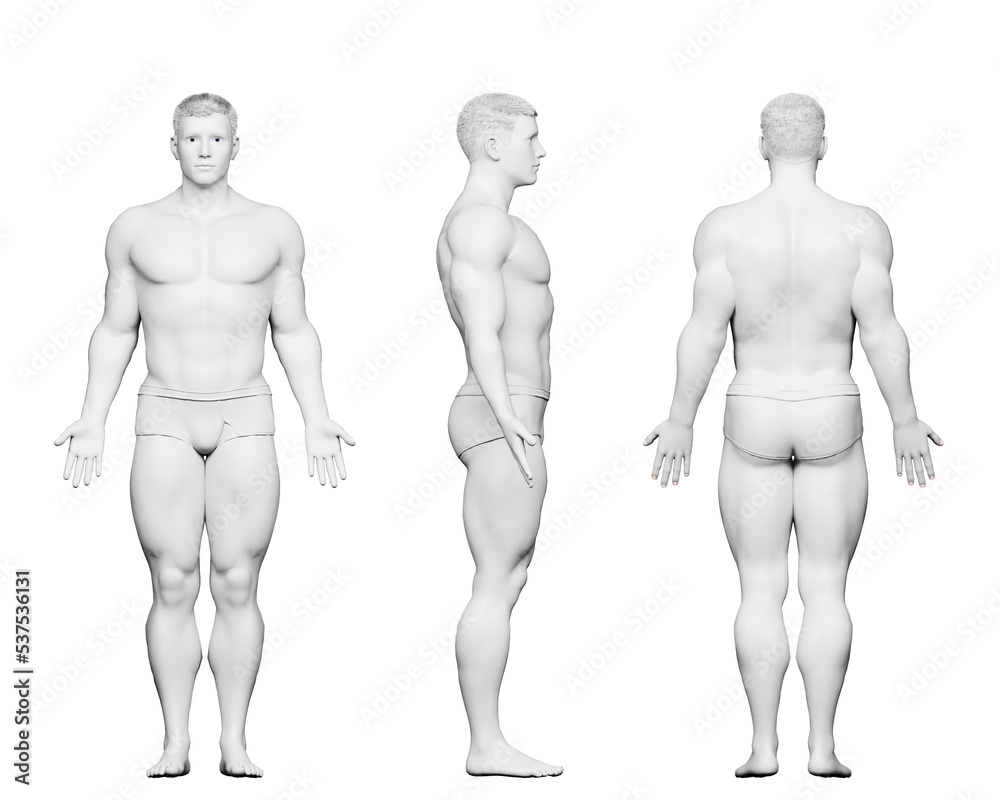 3d rendered medical illustration of a male bodybuilder body 3d rendered medical illustration of a male bodybuilder body