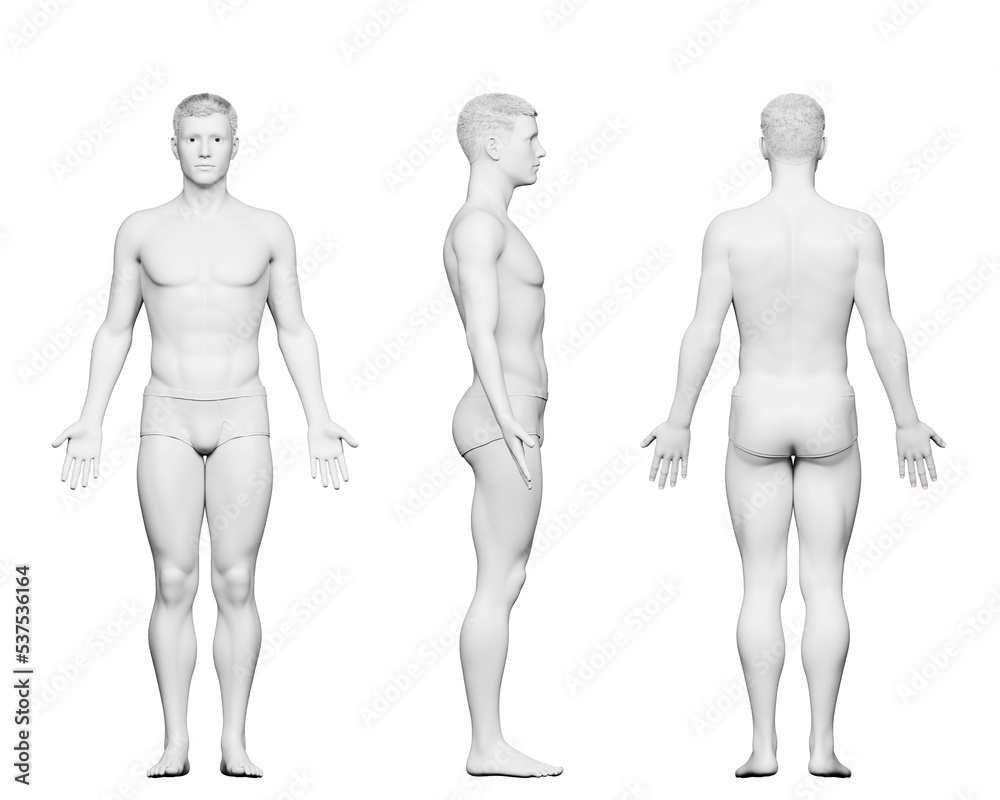 3d rendered medical illustration of a fit male body 3d rendered medical illustration of a fit male body