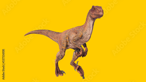 velociraptor roaring dinosaur isolated on yellow blank background © akiratrang