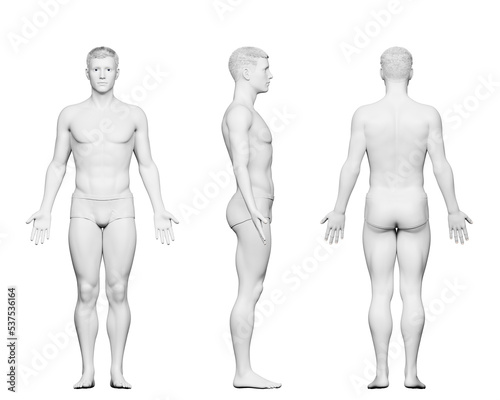3d rendered medical illustration of a fit male body