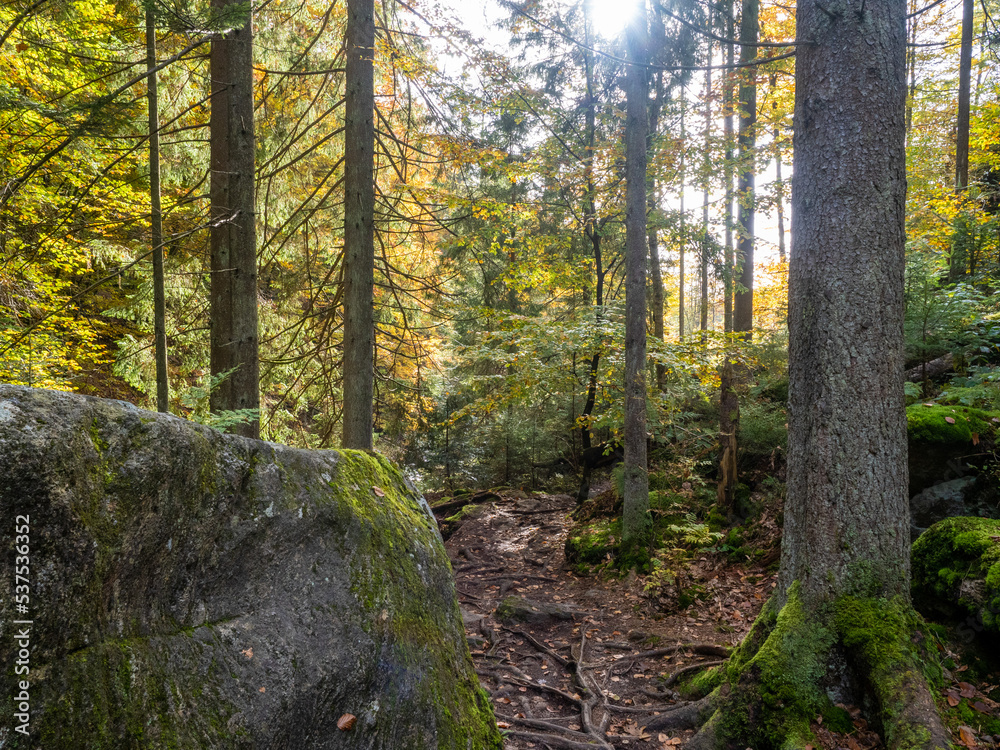 Obraz premium bayerischer wald