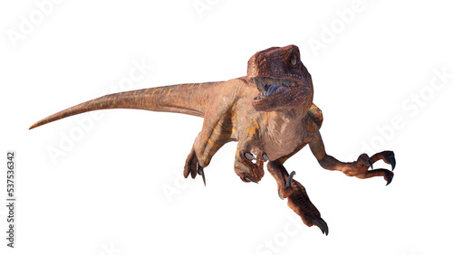 velociraptor dinosaur roaring on a blank background PNG © akiratrang