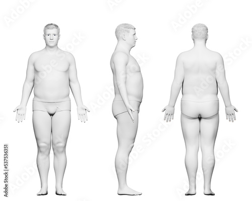 3d rendered medical illustration of a potbellied male body
