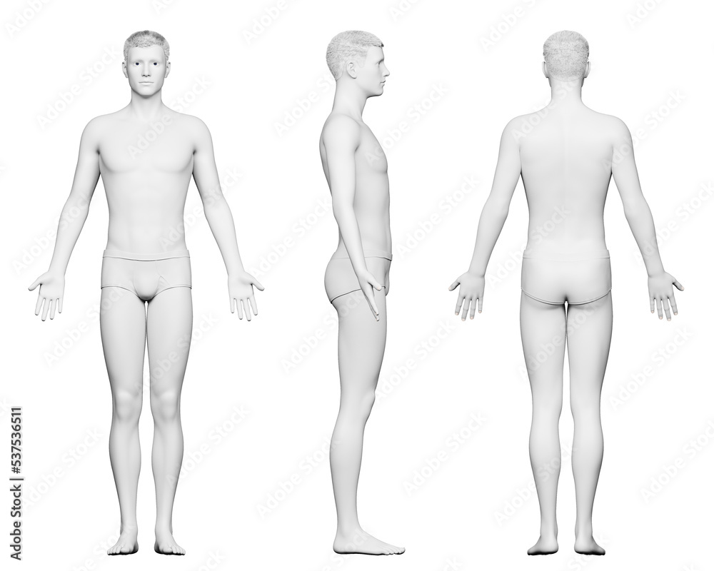3d rendered medical illustration of a tall male body 3d rendered medical illustration of a tall male body