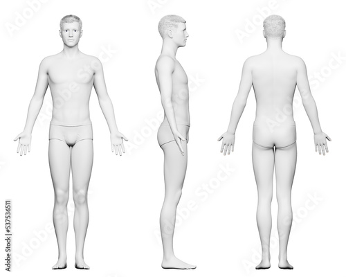 3d rendered medical illustration of a tall male body