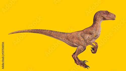 velociraptor roaring dinosaur isolated on yellow blank background © akiratrang