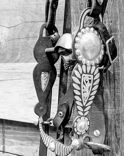 Quadro su tela Antique bridle