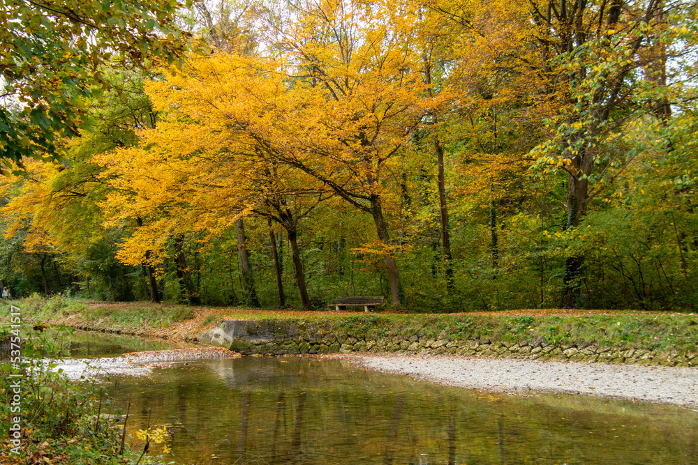 Fototapeta premium Goldener Oktober in Gelb und Orange