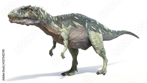 Fototapeta Naklejka Na Ścianę i Meble -  3d rendered dinosaur illustration of the Acrocanthosaurus