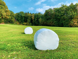 Bales wrapped in white polyethylene in the middle of a field