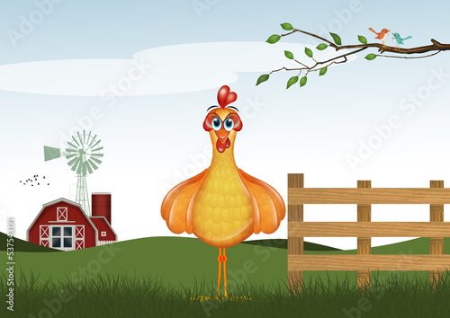 illustration of hen in the farm