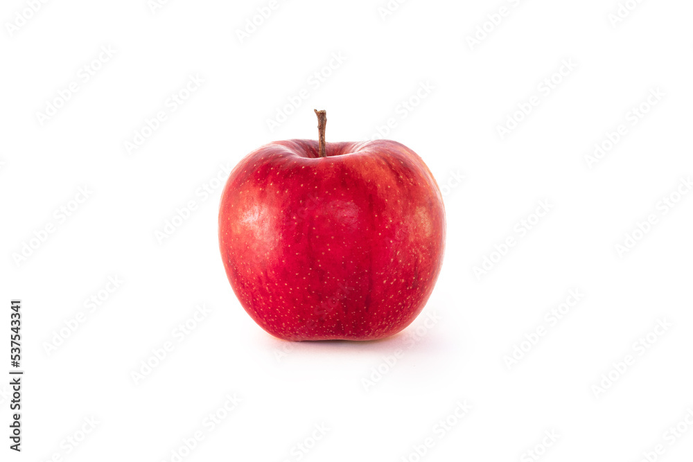 Czerwone dojrzałe jabłko rubin - obrazy, fototapety, plakaty 