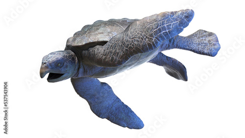 Fototapeta Naklejka Na Ścianę i Meble -  3d rendered dinosaur illustration of the Archelon