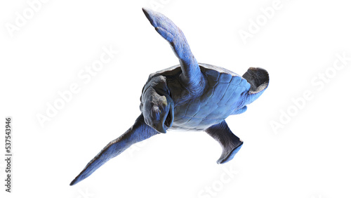 Fototapeta Naklejka Na Ścianę i Meble -  3d rendered dinosaur illustration of the Archelon