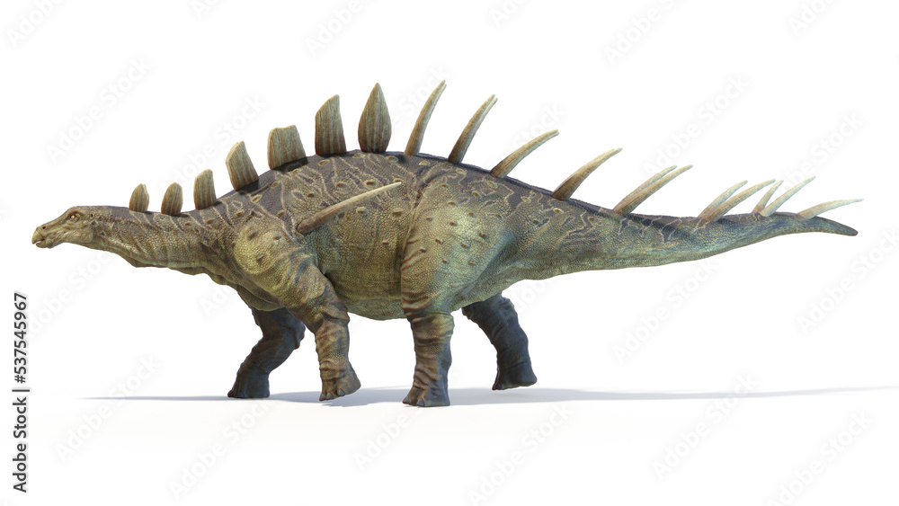 3d rendered dinosaur illustration of the Kentrosaurus