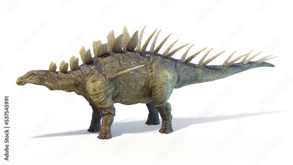 3d rendered dinosaur illustration of the Kentrosaurus