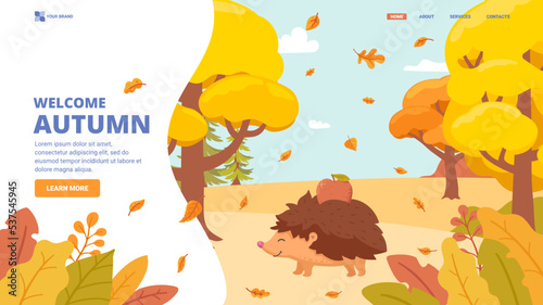 Hedgehog with apple on thorns walking at autumnal park or forest. Good sunny warm autumn weather. Hello autumn, welcome autumn illustration. Vector landing page, banner, site template.