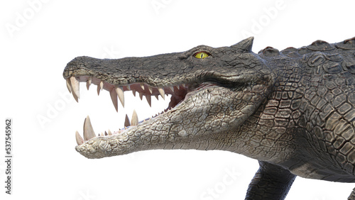 3d rendered dinosaur illustration of the Kaprosuchus