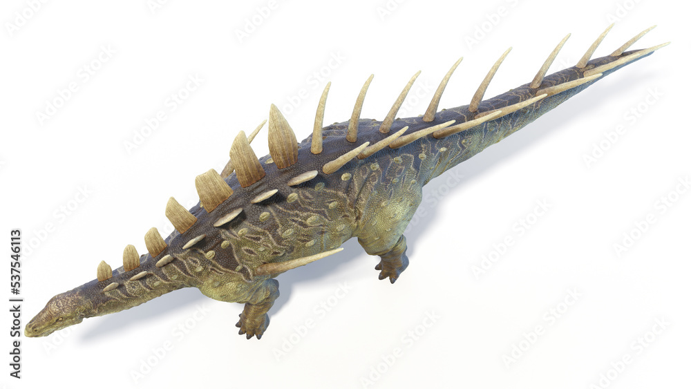 3d rendered dinosaur illustration of the Kentrosaurus 3d rendered dinosaur illustration of the Kentrosaurus
