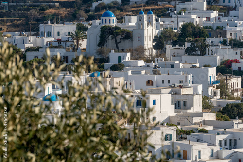 Whitewashed buildings of Apollonia on Sifnos island in Greece looking through olive branches photo