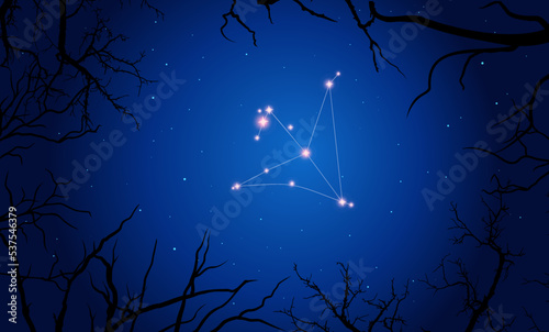 Сonstellation of Aquila. Stars on the blue night sky with silhouette of tree. Constellation scheme collection. Vector illustration