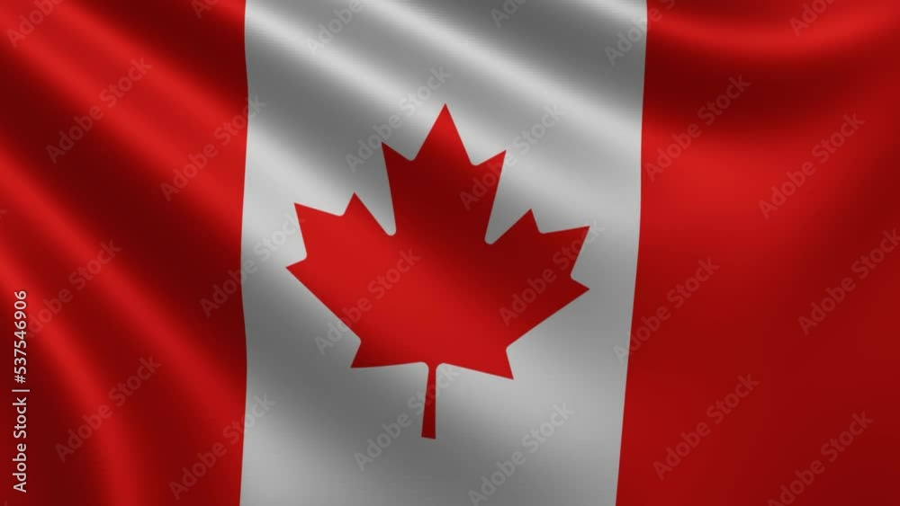 Canadian flag close-up waving in the wind, the Canadian national flag waving 3d, Canadian flag 4k resolution, Polish flag the wave close-up 3d. High quality 4k footage. Canadian flag close-up waving in the wind, the Canadian national flag waving 3d, Canadian flag 4k resolution, Polish flag the wave close-up 3d. High quality 4k footage.