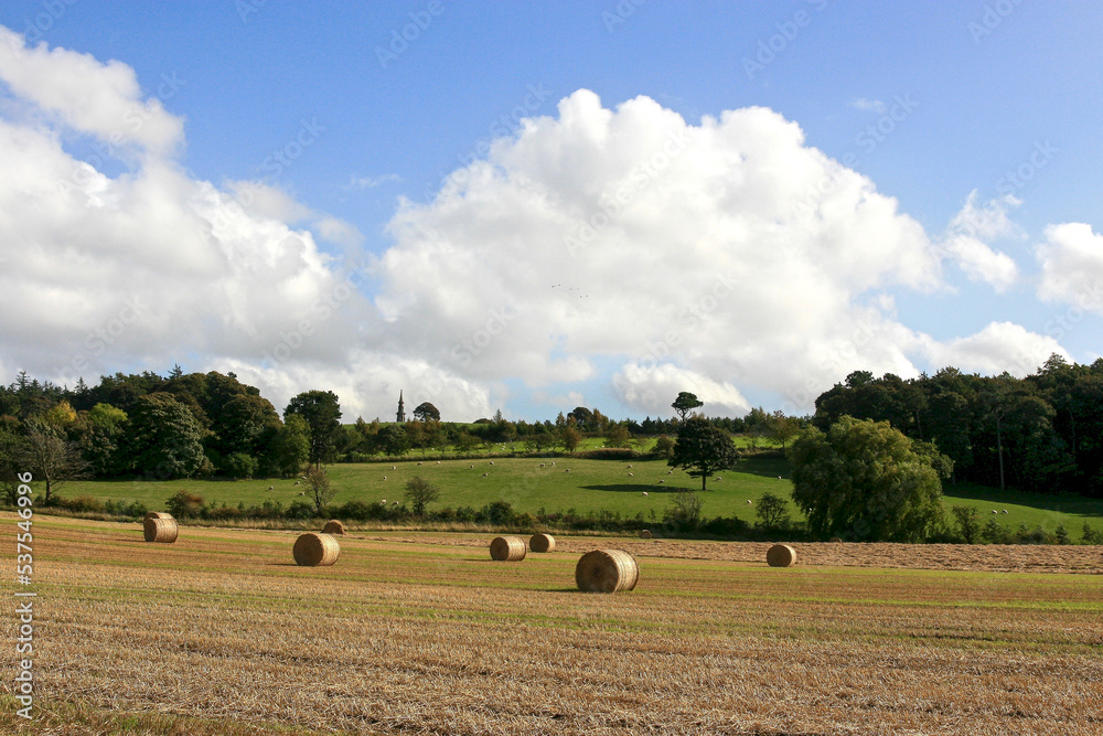 Fototapeta premium Field in Scotland with round hay bales, United Kingdom
