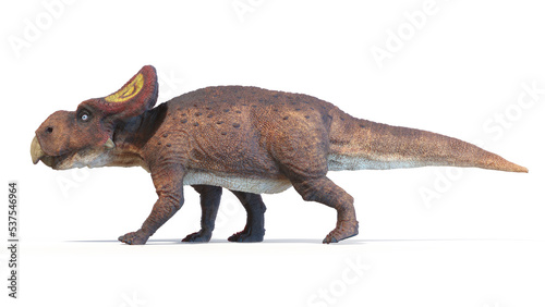 Fototapeta Naklejka Na Ścianę i Meble -  3d rendered dinosaur illustration of the Protoceratops